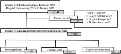 Efficacy and risk factors of stent placement in the treatment of malignant tracheoesophageal fistula